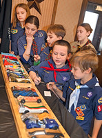 Scouts pinewood derby
